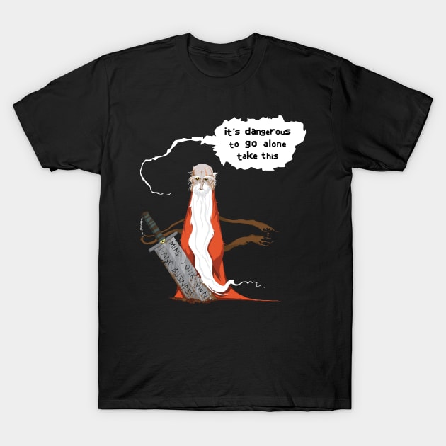 It's Dangerous To Go Alone In 2020 T-Shirt by TheWellRedMage